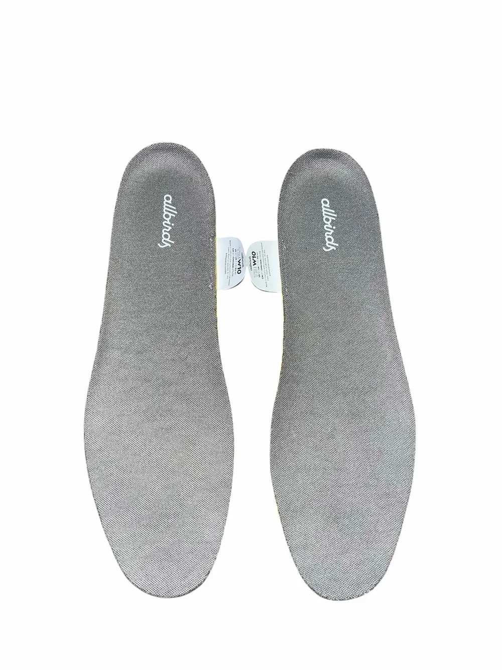 allbirds elevate your